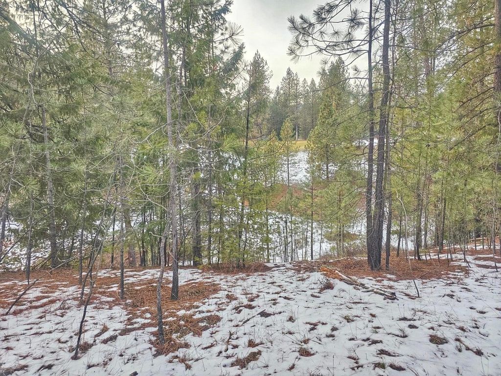 270 Eagle Dr, Chewelah, WA 99109 photo 6