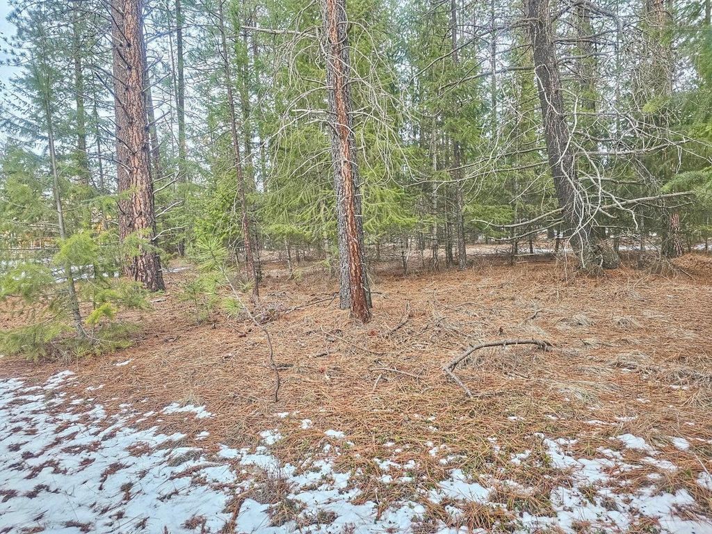 270 Eagle Dr, Chewelah, WA 99109 photo 7