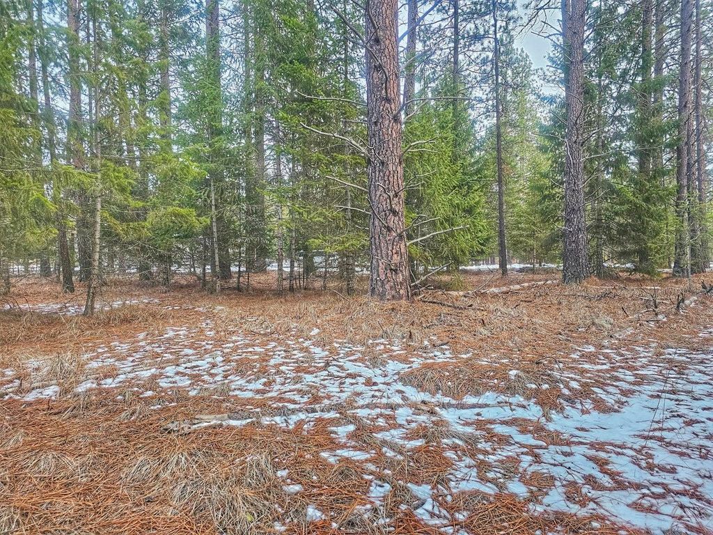 270 Eagle Dr, Chewelah, WA 99109 photo 8