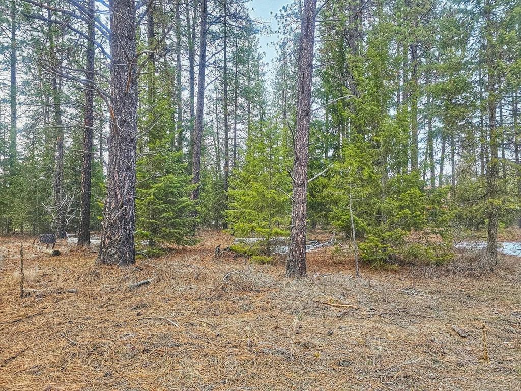 270 Eagle Dr, Chewelah, WA 99109 photo 9