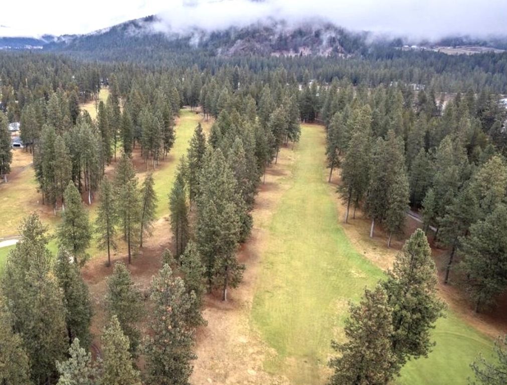 270 Eagle Dr, Chewelah, WA 99109 photo 10