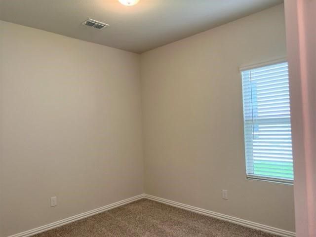 114 Mountain Meadow Lane, Princeton, TX 75071