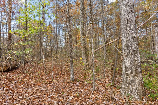 612 Miles Road, Signal Mountain, TN 37377