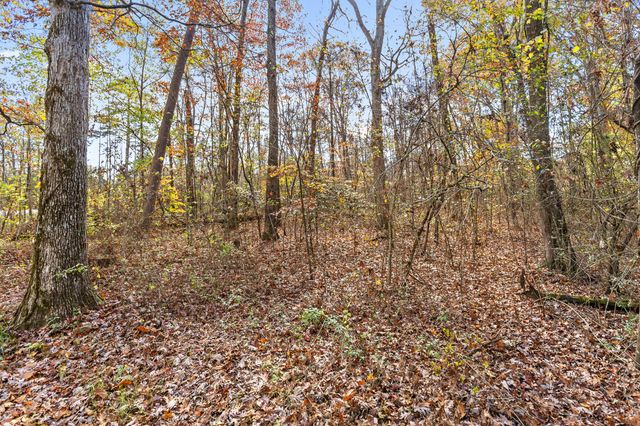 612 Miles Road, Signal Mountain, TN 37377
