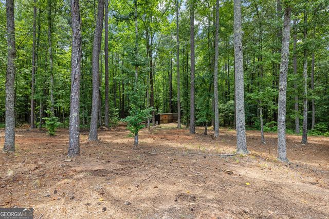 359 Trammell Road, Moreland, GA 30259