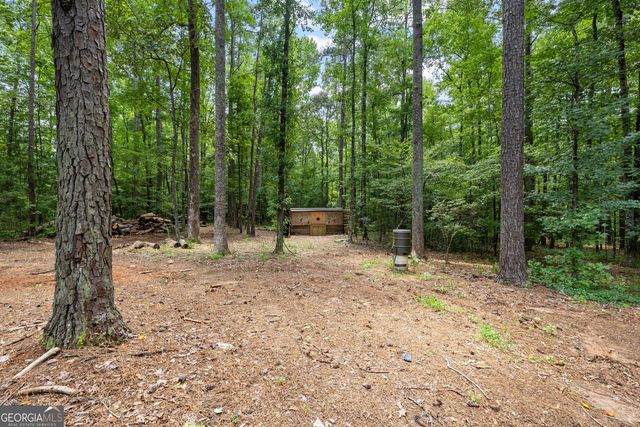 359 Trammell Road, Moreland, GA 30259