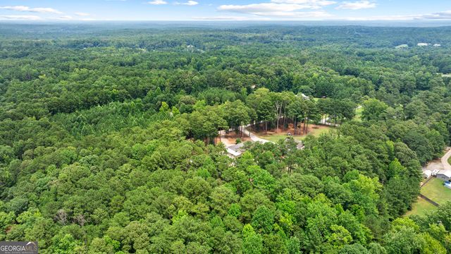 359 Trammell Road, Moreland, GA 30259