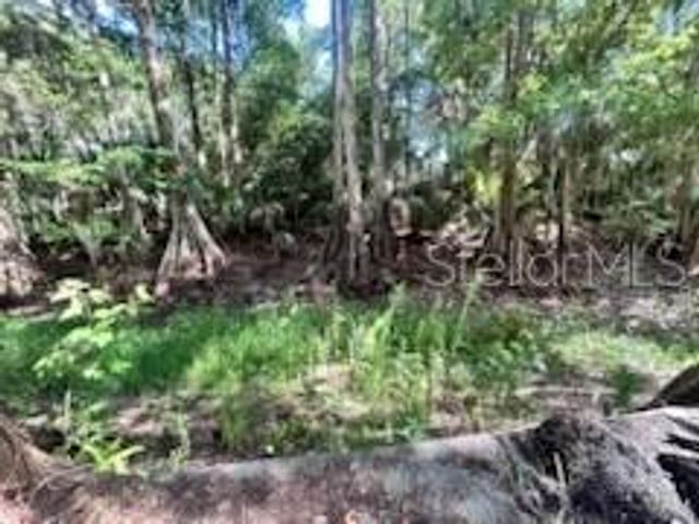 14427 SE 183RD PLACE, Hawthorne, FL 32640