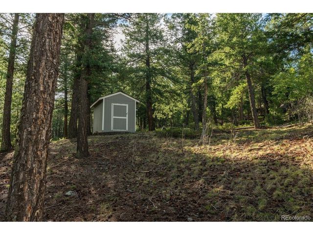 25806 Lost Cabin Trl, Evergreen, CO 80439