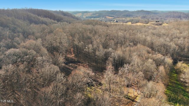 270 Freedom Road, Limestone, TN 37681