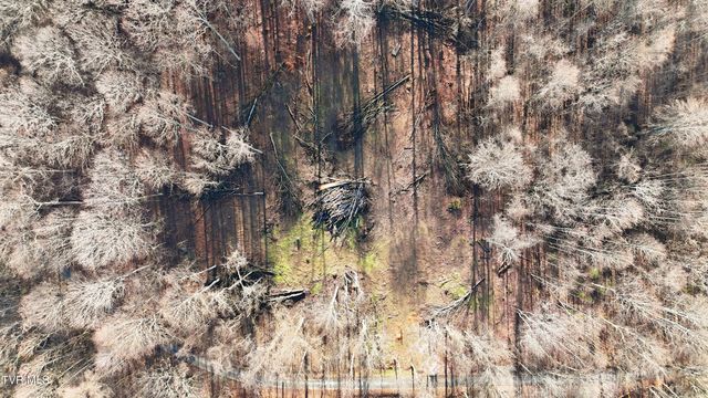 270 Freedom Road, Limestone, TN 37681