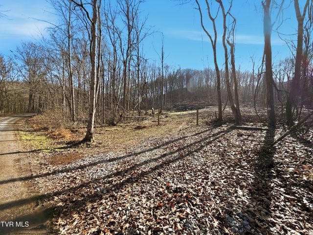 270 Freedom Road, Limestone, TN 37681