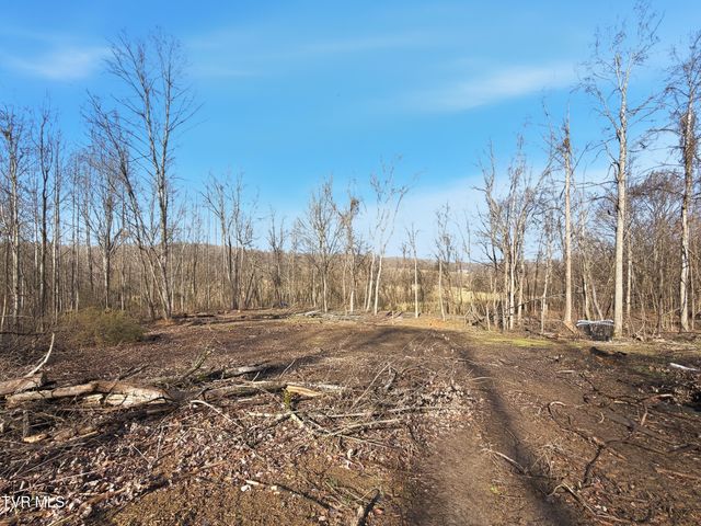 270 Freedom Road, Limestone, TN 37681