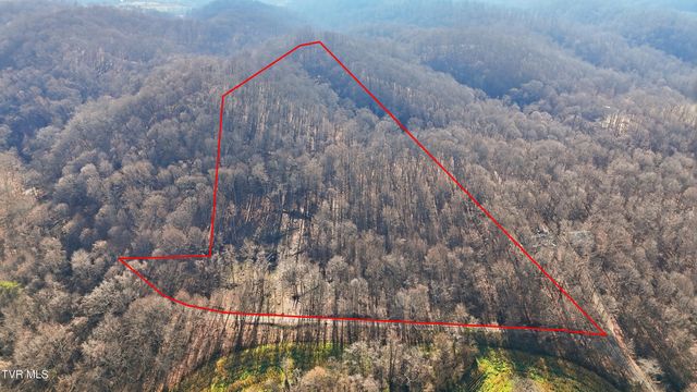 270 Freedom Road, Limestone, TN 37681