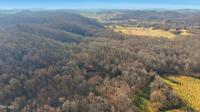 270 Freedom Road, Limestone, TN 37681