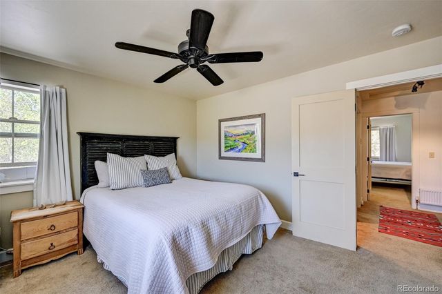 430 Crossman Avenue, Buena Vista, CO 81211