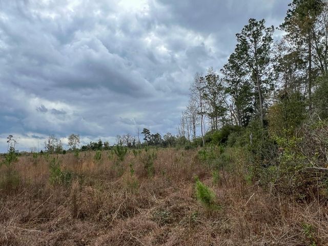 T-3 Cr 4590, Spurger, TX 77660