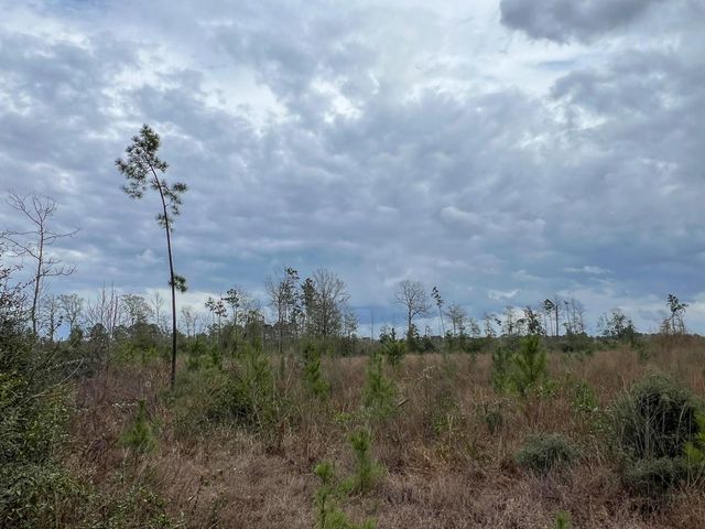 T-3 Cr 4590, Spurger, TX 77660