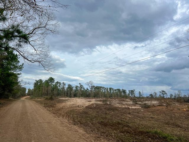 T-3 Cr 4590, Spurger, TX 77660