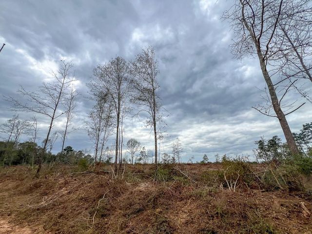 T-3 Cr 4590, Spurger, TX 77660