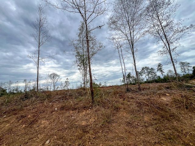 T-3 Cr 4590, Spurger, TX 77660