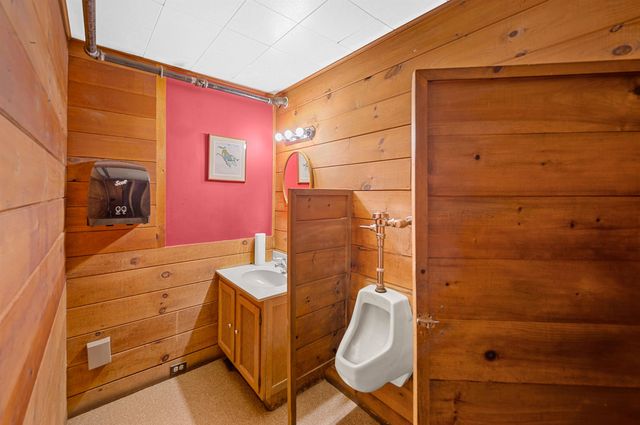 14 Barrows Road, Stowe, VT 05672