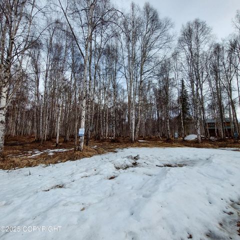 49623 S Hunter Drive, Lot 73, Willow, AK 99688