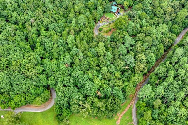 LOT 5B Toccoa River Forest, Mineral Bluff, GA 30559