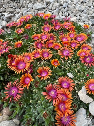 1860 E 880 N, Price, UT 84501