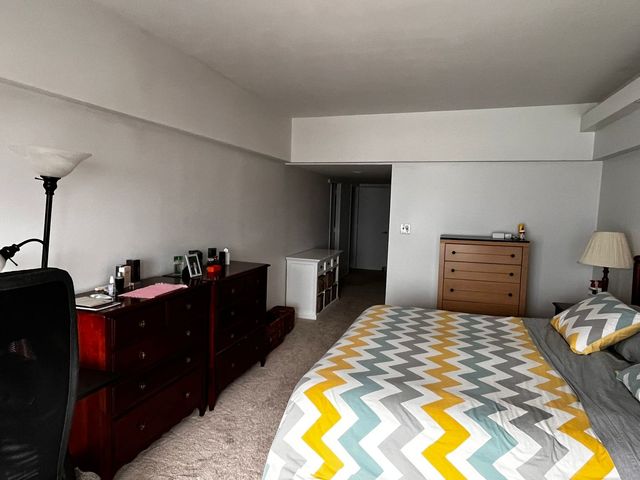 175 E Delaware Place 4603, Chicago, IL 60611