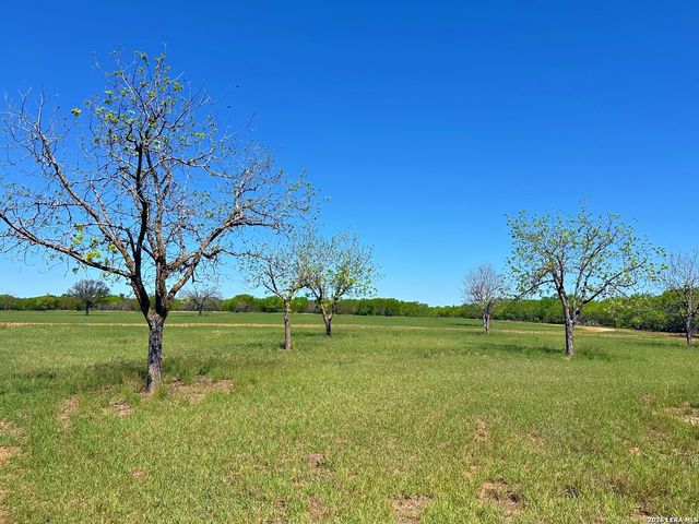 3265 Highway 97, Jourdanton, TX 78026