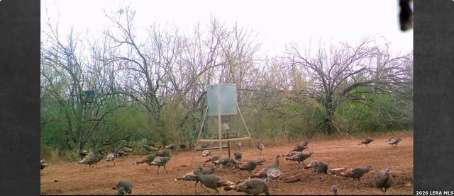 3265 Highway 97, Jourdanton, TX 78026