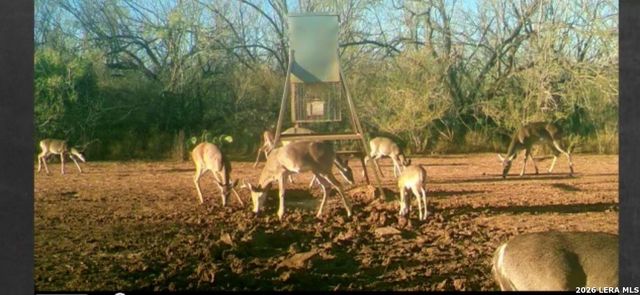 3265 Highway 97, Jourdanton, TX 78026