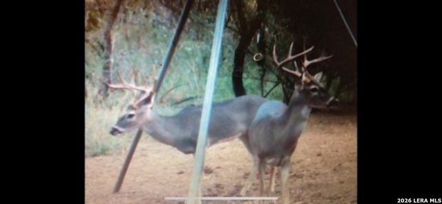 3265 Highway 97, Jourdanton, TX 78026