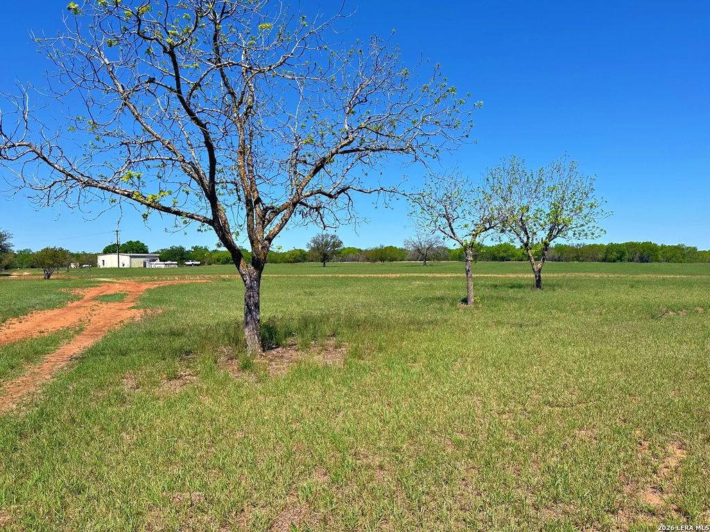 3265 Highway 97, Jourdanton, TX 78026