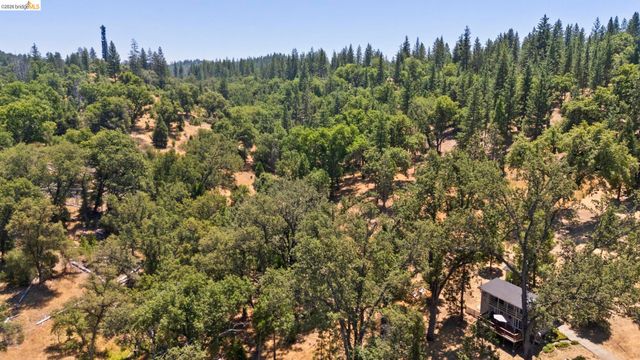 20785 Buttercup Cir, Groveland, CA 95321