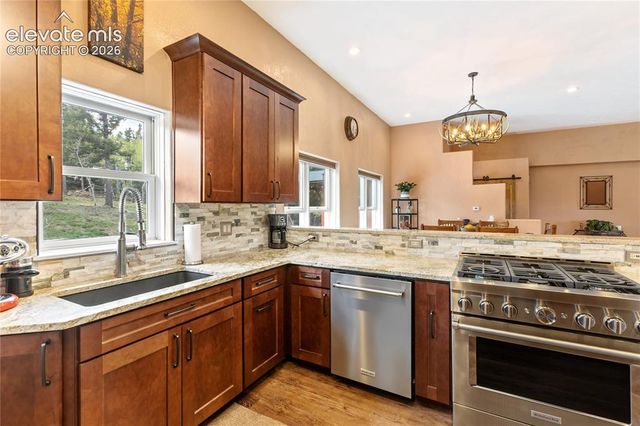153 Moss Rock Court, Divide, CO 80814
