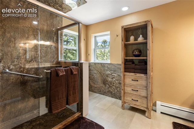 153 Moss Rock Court, Divide, CO 80814