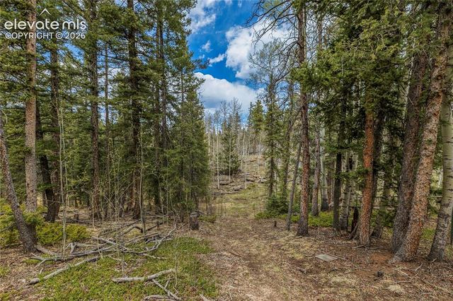153 Moss Rock Court, Divide, CO 80814