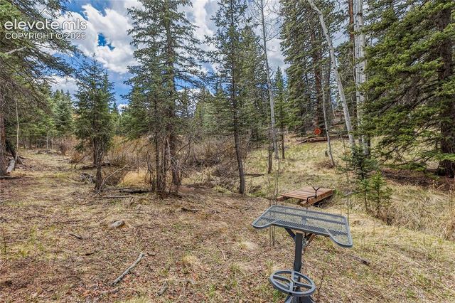 153 Moss Rock Court, Divide, CO 80814