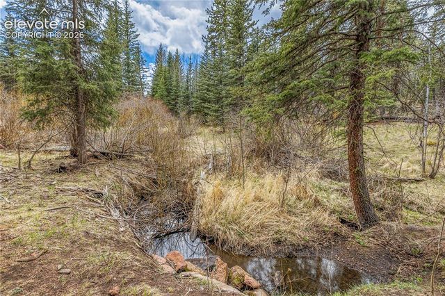 153 Moss Rock Court, Divide, CO 80814