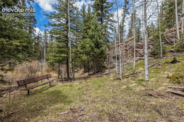 153 Moss Rock Court, Divide, CO 80814