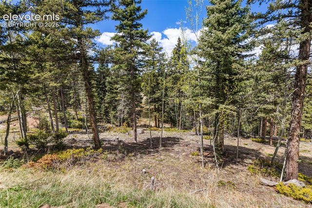 153 Moss Rock Court, Divide, CO 80814