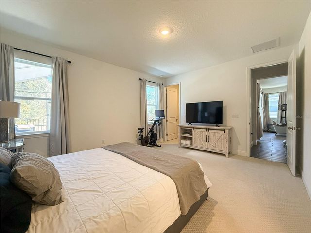 2260 JUNIPER BERRY DRIVE, Minneola, FL 34715