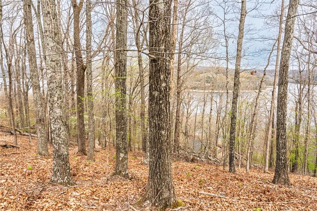 Avian Road, Eureka Springs, AR 72632
