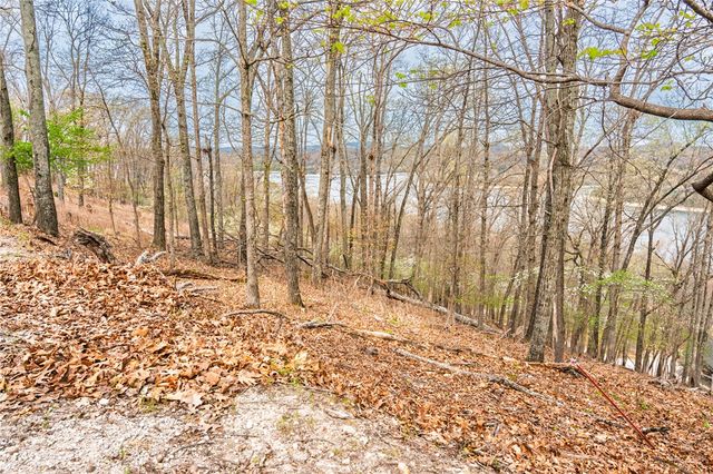Avian Road, Eureka Springs, AR 72632