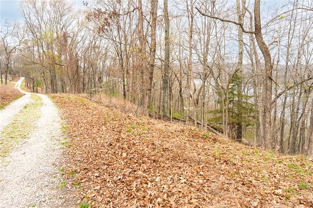 Avian Road, Eureka Springs, AR 72632
