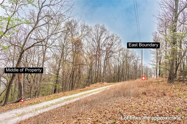 Avian Road, Eureka Springs, AR 72632