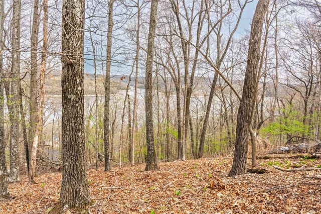 Avian Road, Eureka Springs, AR 72632