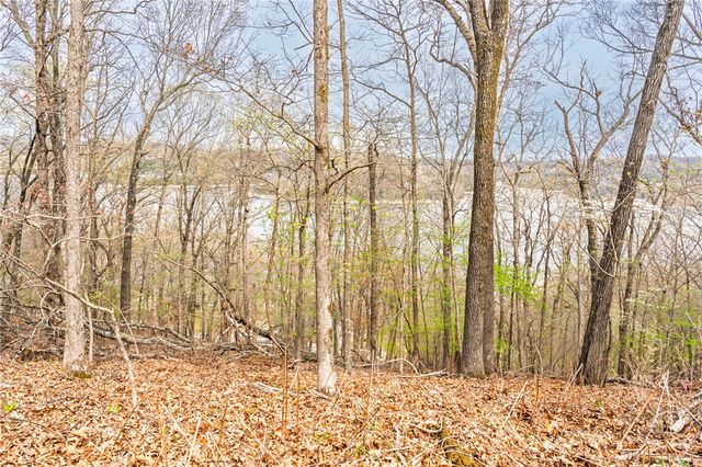 Avian Road, Eureka Springs, AR 72632